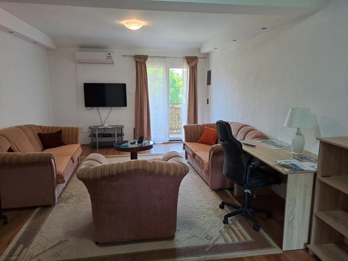 Apartments Mirkovic سيتينيي المظهر الخارجي الصورة