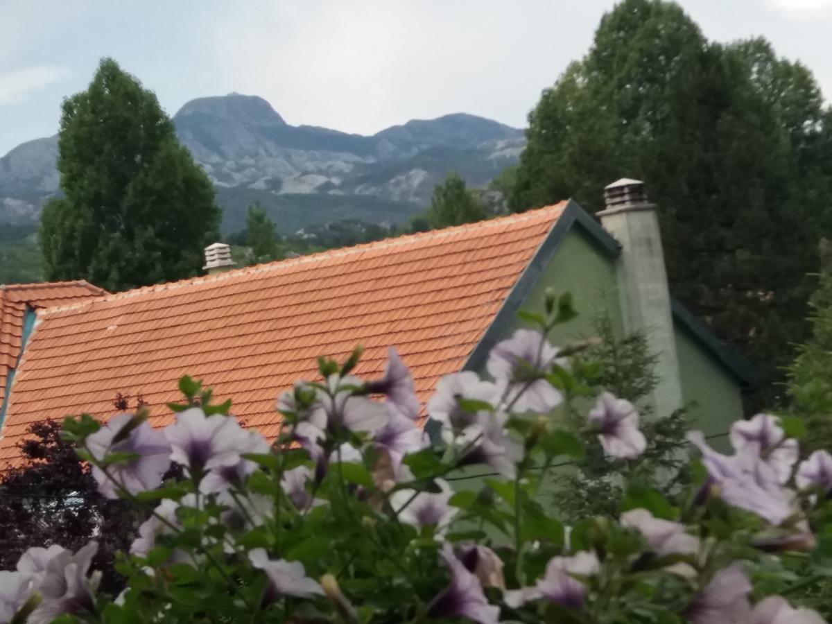 Apartments Mirkovic سيتينيي المظهر الخارجي الصورة
