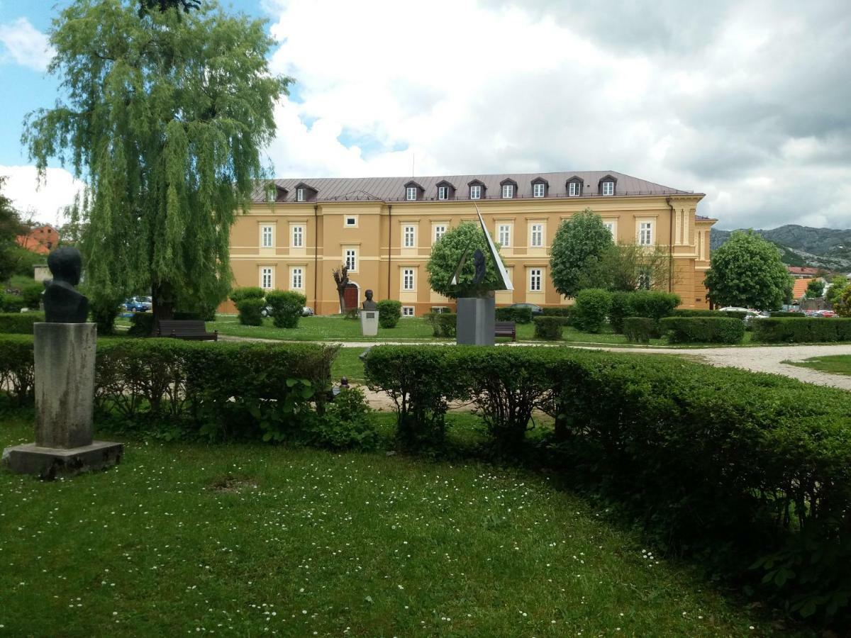 Apartments Mirkovic سيتينيي المظهر الخارجي الصورة
