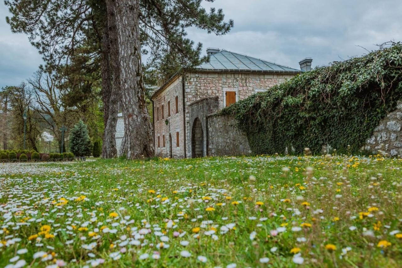 Apartments Mirkovic سيتينيي المظهر الخارجي الصورة