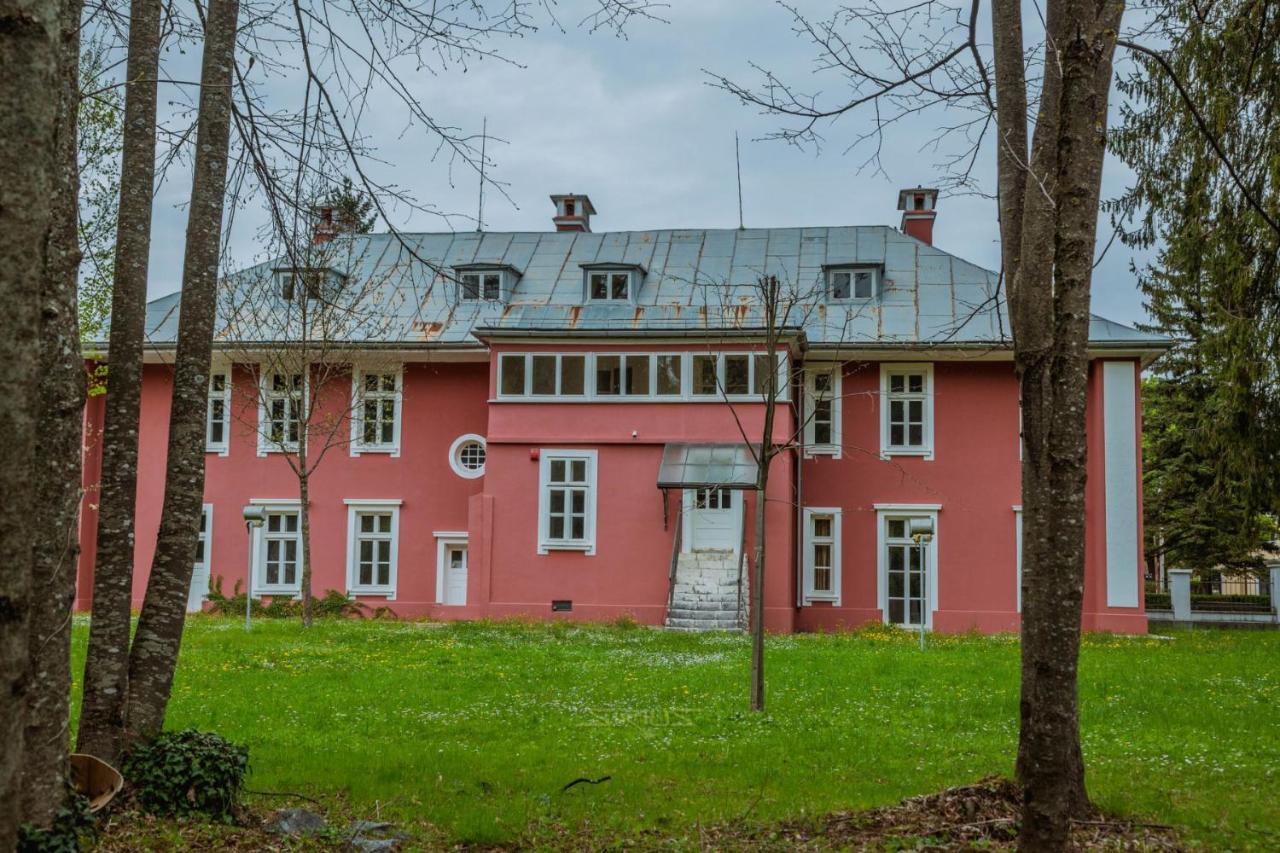 Apartments Mirkovic سيتينيي المظهر الخارجي الصورة